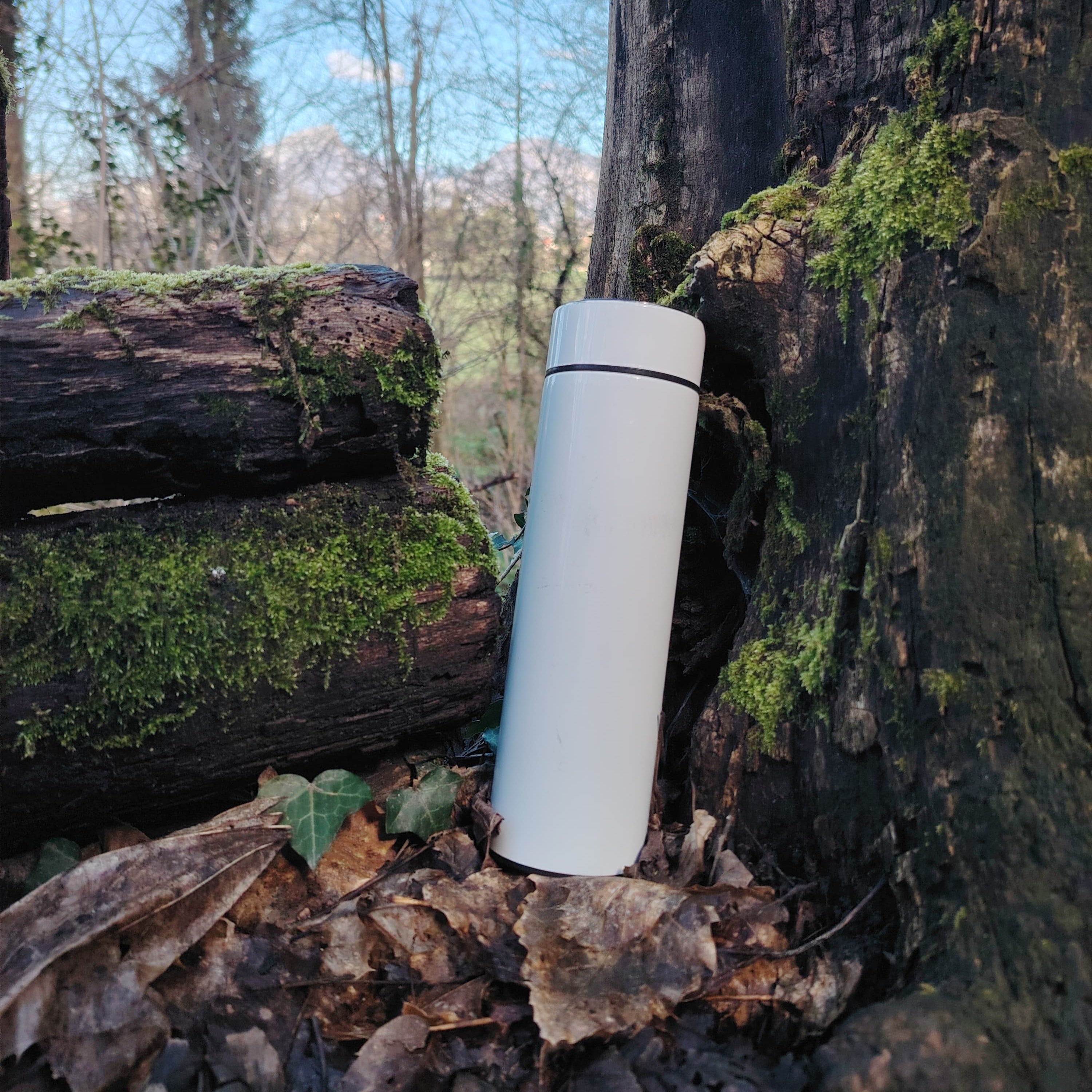 Pack bivouac